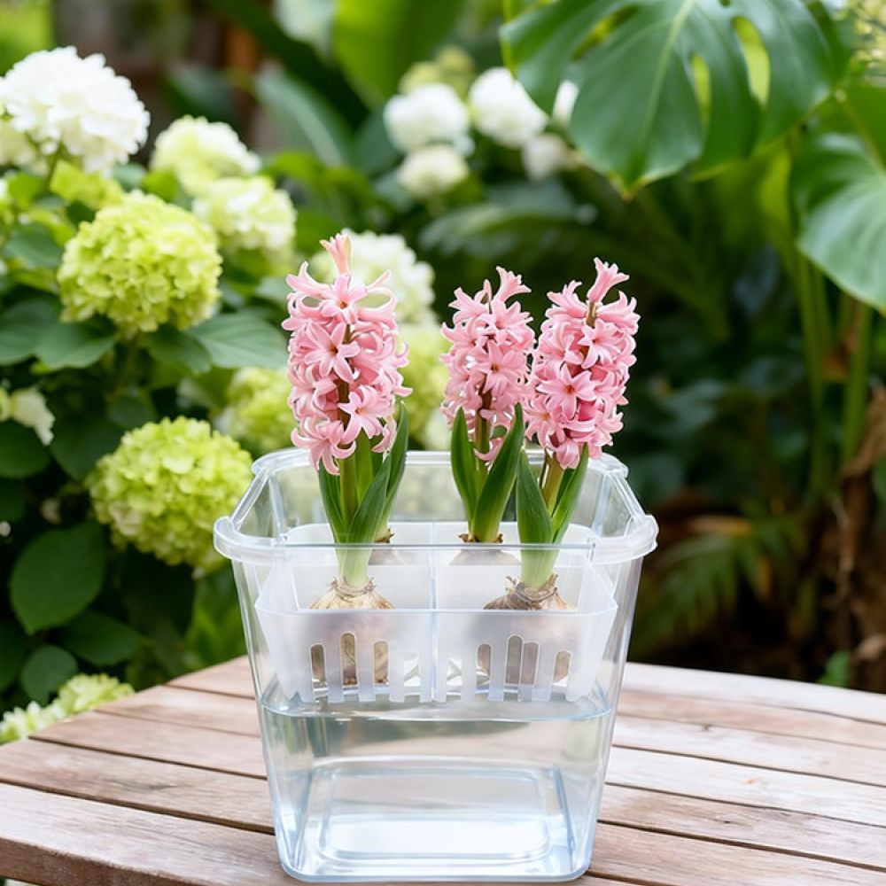 Vase Decor - Гидропонная ваза для тюльпанов и лилий,